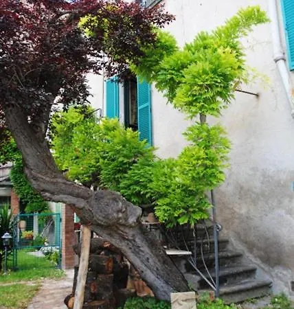 The Garden Of History Appartement Bolsena Buitenkant foto
