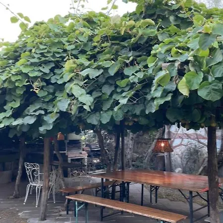 The Garden Of History Appartement Bolsena Buitenkant foto
