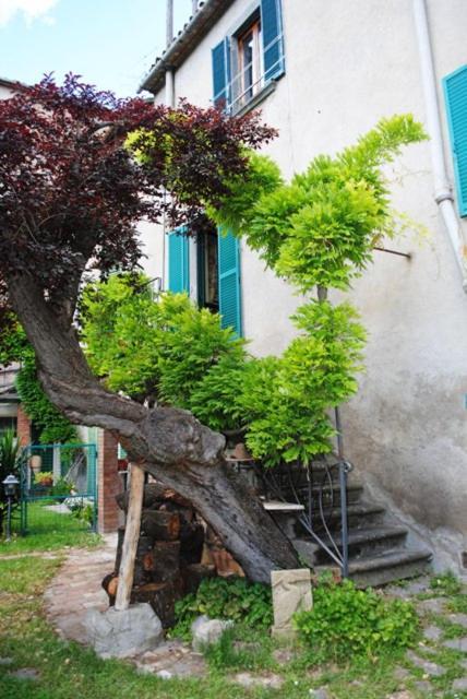 Apartment The Garden Of History