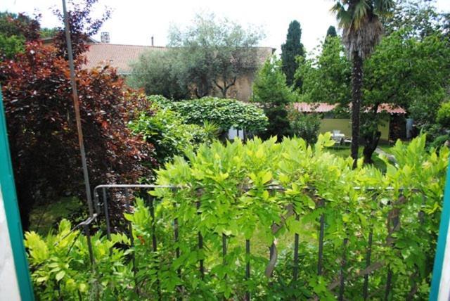 The Garden Of History * Bolsena