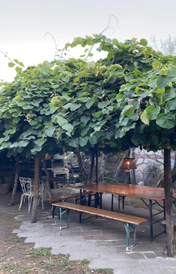 The Garden Of History Bolsena